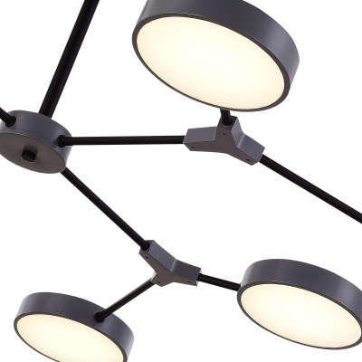 Люстра на штанге EVOLUCE Monta SLE6003-702-08