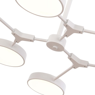 Люстра на штанге EVOLUCE Monta SLE6003-502-06