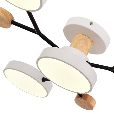 Потолочная люстра EVOLUCE Faema SLE6006-502-04