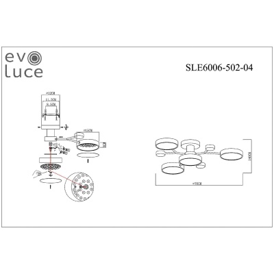 Потолочная люстра EVOLUCE Faema SLE6006-502-04