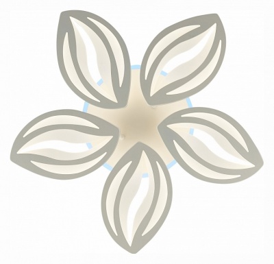 Потолочная люстра EVOLED Seteko SLE501352-05RGB