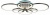 Потолочная люстра EVOLED Leto SLE200382-06RGB Потолочная люстра EVOLED Leto SLE200382-06RGB