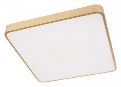 Накладной светильник Loft it Flims 10228/D