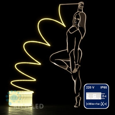 Светодиодный дюралайт Rich LED, 2-х проводной, матовый, теплый белый, кратность резки 1 метр, диаметр 13 мм, 220 В,100 м.