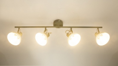 Спот Globo Daisy 54658-4