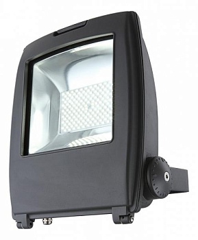 Настенный прожектор Globo Projecteur I 34222