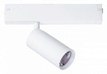 Светильник Lightstar Teta 205026