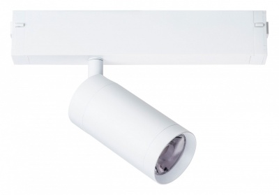 Светильник Lightstar Teta 205026