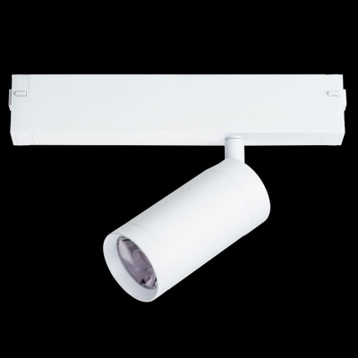 Светильник Lightstar Teta 205026