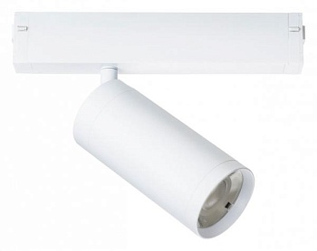 Светильник Lightstar Teta 205036