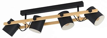 Светильник Eglo ПРОМО Hornwood 43558