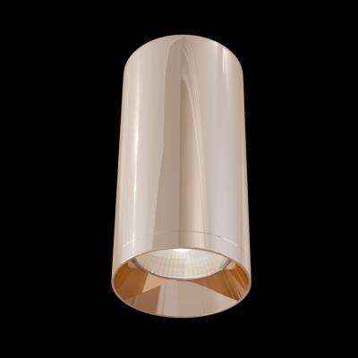 Потолочный светильник Maytoni Focus C010CL-01RG