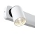Спот Maytoni Alliot SP317-CW-02-W Спот Maytoni Alliot SP317-CW-02-W