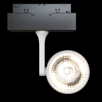 Трековый светильник для магнитного шинопровода Maytoni Gravity Oko TR024-2-10W4K