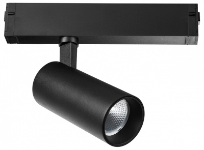 Светильник Lightstar Teta 205037R
