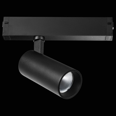 Светильник Lightstar Teta 205037R