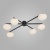 Потолочная люстра Eurosvet Opaline 70220/6 черный Потолочная люстра Eurosvet Opaline 70220/6 черный