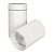 Светильник SP-POLO-SURFACE-TURN-R85-15W Day4000 (WH-WH, 40 deg) (Arlight, IP20 Металл, 3 года)