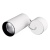 Светильник подвесной SP-POLO-R85-2-15W Warm White 40deg (White, Black Ring) (Arlight, IP20 Металл, 3 года) Светильник подвесной SP-POLO-R85-2-15W Warm White 40deg (White, Black Ring) (Arlight, IP20 Металл, 3 года)