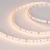 Светодиодная лента MICROLED-M120-8mm 24V Warm2700 (6.5 W/m, IP20, 2216, 5m) (Arlight, Открытый) Светодиодная лента MICROLED-M120-8mm 24V Warm2700 (6.5 W/m, IP20, 2216, 5m) (Arlight, Открытый)