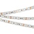 Светодиодная лента RT 2-5000 12V Blue 2x (5060, 300 LED, LUX) (Arlight, 14.4 Вт/м, IP20)