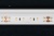 Лента MICROLED-5000L 24V White6000 8mm (2216, 120 LED/m, LUX) (Arlight, 6.5 Вт/м, IP20) Лента MICROLED-5000L 24V White6000 8mm (2216, 120 LED/m, LUX) (Arlight, 6.5 Вт/м, IP20)