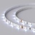 Лента RT 2-5000 12V Cool 15K 5mm (3528, 300 LED, LUX) (Arlight, 4.8 Вт/м, IP20) ARLIGHT Арт. 015215(B)