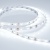 Лента RT 2-5000 12V Cool 8K (2835, 300 LED, PRO) (Arlight, 7.2 Вт/м, IP20) ARLIGHT Арт. 016889 Лента RT 2-5000 12V Cool 8K (2835, 300 LED, PRO) (Arlight, 7.2 Вт/м, IP20) ARLIGHT Арт. 016889