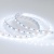 Лента RT 2-5000 12V Cool 8K 2x (5060, 300 LED, LUX) (Arlight, 14.4 Вт/м, IP20) ARLIGHT Арт. 013341(B) Лента RT 2-5000 12V Cool 8K 2x (5060, 300 LED, LUX) (Arlight, 14.4 Вт/м, IP20) ARLIGHT Арт. 013341(B)