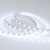 Лента RT 2-5000 12V Cool 8K 2x (5060, 300 LED, LUX) (Arlight, 14.4 Вт/м, IP20) ARLIGHT Арт. 013341 Лента RT 2-5000 12V Cool 8K 2x (5060, 300 LED, LUX) (Arlight, 14.4 Вт/м, IP20) ARLIGHT Арт. 013341