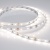 Лента RT 2-5000 12V Day4000 (2835, 300 LED, PRO) (Arlight, 7.2 Вт/м, IP20) ARLIGHT Арт. 015697 Лента RT 2-5000 12V Day4000 (2835, 300 LED, PRO) (Arlight, 7.2 Вт/м, IP20) ARLIGHT Арт. 015697
