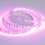 Лента RT 2-5000 12V Pink 2X (3528, 600 LED, LUX) (Arlight, 9.6 Вт/м, IP20) Лента RT 2-5000 12V Pink 2X (3528, 600 LED, LUX) (Arlight, 9.6 Вт/м, IP20)