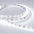 Лента RT 2-5000 12V White6000 (2835, 300 LED, PRO) (Arlight, 7.2 Вт/м, IP20) ARLIGHT Арт. 015703(B) Лента RT 2-5000 12V White6000 (2835, 300 LED, PRO) (Arlight, 7.2 Вт/м, IP20) ARLIGHT Арт. 015703(B)