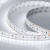 Лента RT 2-5000 24V Day5000 2x2 (3528, 1200 LED, CRI98) (Arlight, 19.2 Вт/м, IP20) ARLIGHT Арт. 021448(1) Лента RT 2-5000 24V Day5000 2x2 (3528, 1200 LED, CRI98) (Arlight, 19.2 Вт/м, IP20) ARLIGHT Арт. 021448(1)