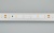 Лента RT 2-5000 24V Warm2700 (3528, 300 LED, CRI98) (Arlight, 4.8 Вт/м, IP20) ARLIGHT Арт. 021414(1) Лента RT 2-5000 24V Warm2700 (3528, 300 LED, CRI98) (Arlight, 4.8 Вт/м, IP20) ARLIGHT Арт. 021414(1)