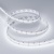 Лента RT 2-5000 24V White6000 10mm (2835, 252 LED/m, LUX) (Arlight, 10 Вт/м, IP20) ARLIGHT Арт. 022648(1) Лента RT 2-5000 24V White6000 10mm (2835, 252 LED/m, LUX) (Arlight, 10 Вт/м, IP20) ARLIGHT Арт. 022648(1)