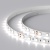 Лента RT 2-5000 24V White6000 2x (5060, 300 LED, LUX) (Arlight, 14.4 Вт/м, IP20) ARLIGHT Арт. 008829(B) Лента RT 2-5000 24V White6000 2x (5060, 300 LED, LUX) (Arlight, 14.4 Вт/м, IP20) ARLIGHT Арт. 008829(B)