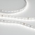 Лента RT 2-5000-50m 24V Day5000 (2835, 80 LED/m, LUX) (Arlight, 6 Вт/м, IP20) ARLIGHT Арт. 024523 Лента RT 2-5000-50m 24V Day5000 (2835, 80 LED/m, LUX) (Arlight, 6 Вт/м, IP20) ARLIGHT Арт. 024523