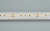 Лента RT 6-5050-96 24V Cool 10K 3x (480 LED) (Arlight, 23 Вт/м, IP20) Лента RT 6-5050-96 24V Cool 10K 3x (480 LED) (Arlight, 23 Вт/м, IP20)