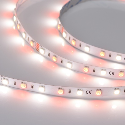 Лента RT6-5050-60 24V RGB-Day 2x (300LED) (Arlight, 14.4 Вт/м, IP20) ARLIGHT Арт. 018326