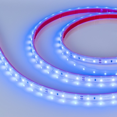 Лента RTW 2-5000P 12V Blue (3528, 300 LED, LUX) (Arlight, 4.8 Вт/м, IP66)