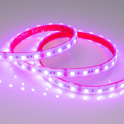 Лента RTW 2-5000PS 12V RGB 2x (5060, 300 LED, LUX) (Arlight, 14.4 Вт/м, IP67) ARLIGHT Арт. 021402