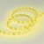 Лента RTW 2-5000SE 12V Yellow (3528, 300 LED, LUX) (Arlight, 4.8 Вт/м, IP65) ARLIGHT Арт. 015731 Лента RTW 2-5000SE 12V Yellow (3528, 300 LED, LUX) (Arlight, 4.8 Вт/м, IP65) ARLIGHT Арт. 015731