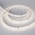 Лента RTW 2-5000SE 24V 1.6X Day (2835, 490 LED, PRO) (Arlight, 10 Вт/м, IP65) ARLIGHT Арт. 021876(1) Лента RTW 2-5000SE 24V 1.6X Day (2835, 490 LED, PRO) (Arlight, 10 Вт/м, IP65) ARLIGHT Арт. 021876(1)