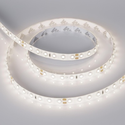 Лента RTW 2-5000SE 24V 1.6X Day (2835, 490 LED, PRO) (Arlight, 10 Вт/м, IP65) ARLIGHT Арт. 021876