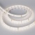 Лента RTW 2-5000SE 24V 1.6X Day (2835, 490 LED, PRO) (Arlight, 10 Вт/м, IP65) ARLIGHT Арт. 021876