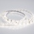 Лента RTW 2-5000SE 24V Day (3528, 300 LED, LUX) (Arlight, 4.8 Вт/м, IP65) ARLIGHT Арт. 024260(B) Лента RTW 2-5000SE 24V Day (3528, 300 LED, LUX) (Arlight, 4.8 Вт/м, IP65) ARLIGHT Арт. 024260(B)