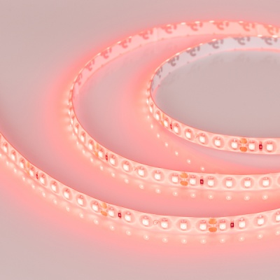 Лента RTW 2-5000SE 24V Red 2x (3528, 600 LED, LUX) (Arlight, 9.6 Вт/м, IP65) ARLIGHT Арт. 015067