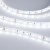 Лента RTW 2-5000SE 24V White 2x (5060, 300 LED, LUX) (Arlight, 14.4 Вт/м, IP65) ARLIGHT Арт. 014626 Лента RTW 2-5000SE 24V White 2x (5060, 300 LED, LUX) (Arlight, 14.4 Вт/м, IP65) ARLIGHT Арт. 014626