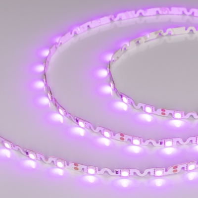 Лента RZ 2-5000 12V Pink 2x (5060, 240 LED, Wave) (Arlight, 11.5 Вт/м, IP20)